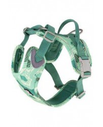 Postroj Hurtta Weekend...