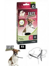 Flamingo Easy leader...