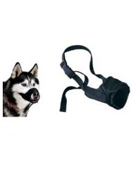 Náhubek fixační pes...