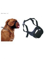 Náhubok fixačné pes...