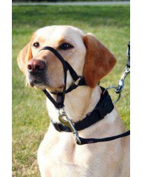 Ohlávka proti ťahaniu Top...