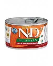 N & D DOG PUMPKIN Adult...