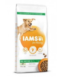 Iams Dog Adult Large Lamb 12kg