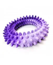 Hračka pes Kruh s bodlinami...