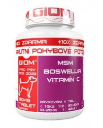 Giom pes Akútne pohybové...