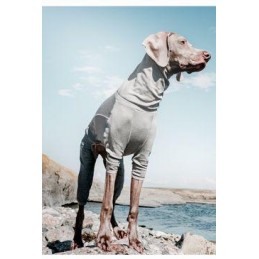 Obleček Hurtta Body Warmer...