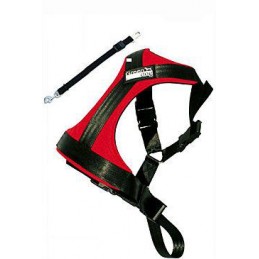 Postroj pes Bezpečnostní do...