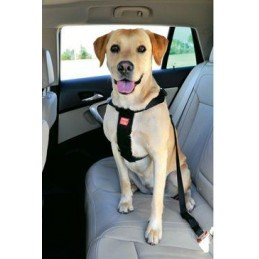 Postroj pes Bezpečnostní do...