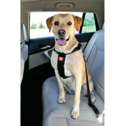 Postroj pes Bezpečnostní do...