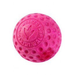 Hračka pes BALL MINI...