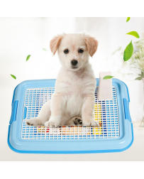 LuckyDogs mobilný záchod...