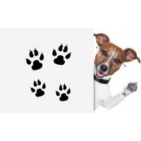 Starostlivosť o tlapky