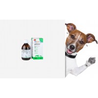 Doplňky výživy pro psy