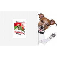 Antiparazitické obojky