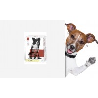 Antiparazitické pipety pre psov